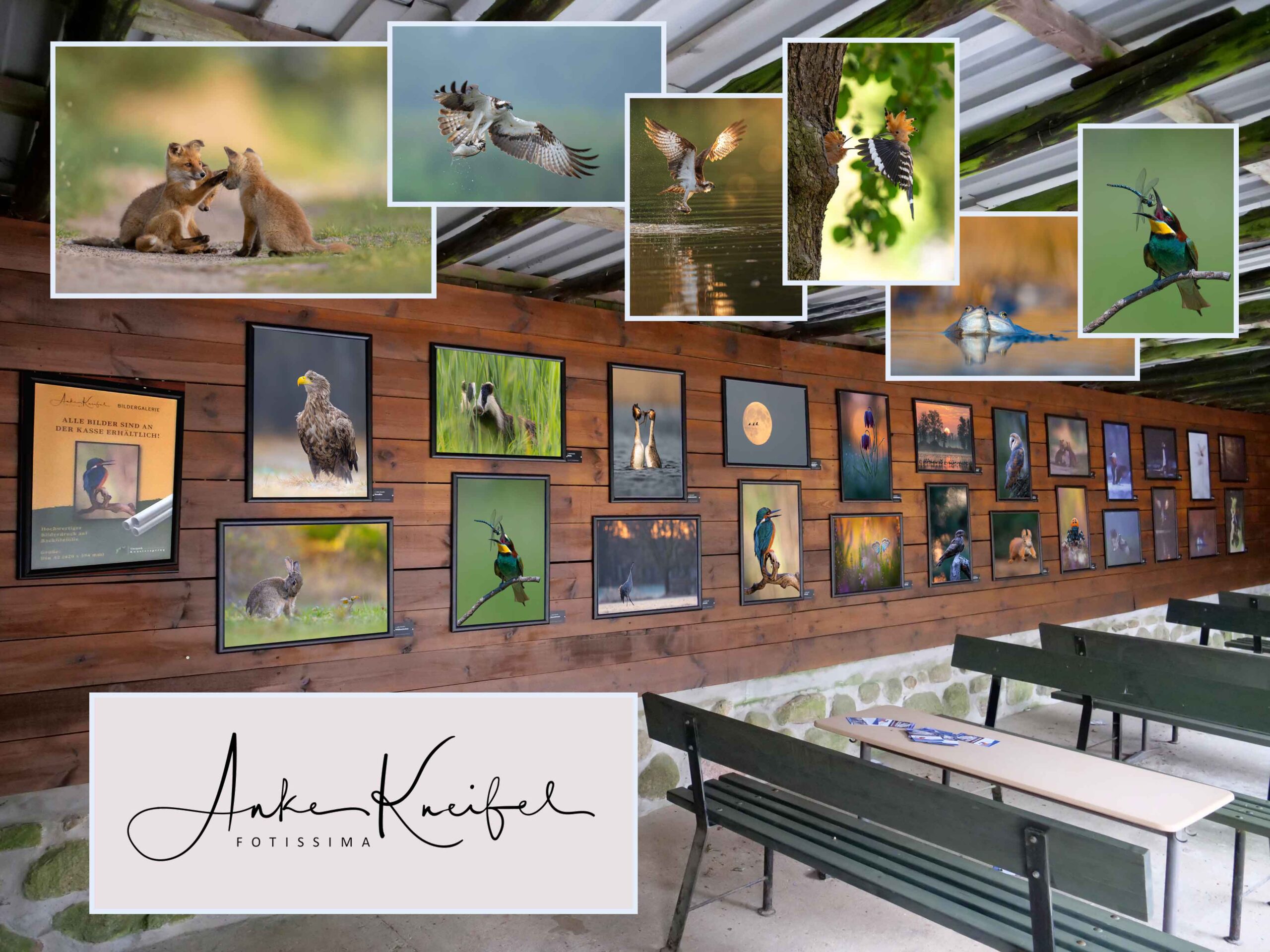 Neue Fotoausstellung im Tierpark!